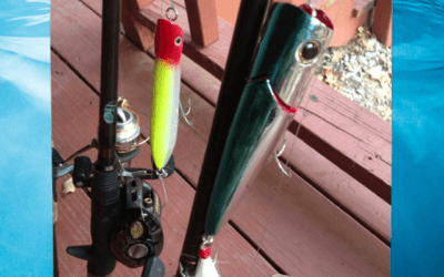 Cast Topwater Plugs and Catch Big Texoma Striper
