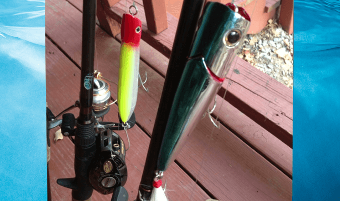 Cast Topwater Plugs and Catch Big Texoma Striper