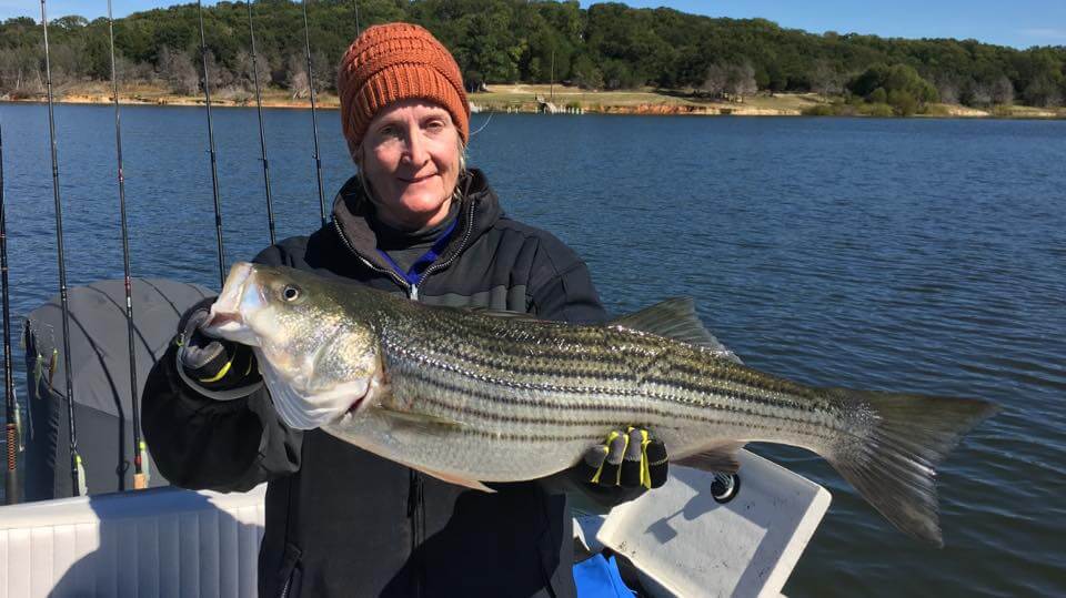 Striper Report Lake Texoma, Summer is fading, Lake Texoma, Striper Fishing, Texoma Striper Guide