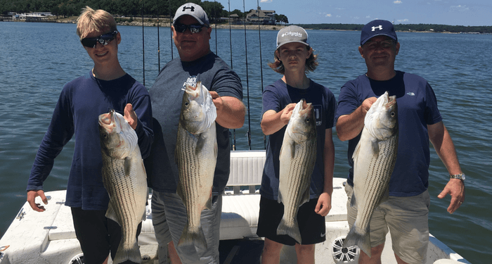 Striped Bass on Lake Texoma