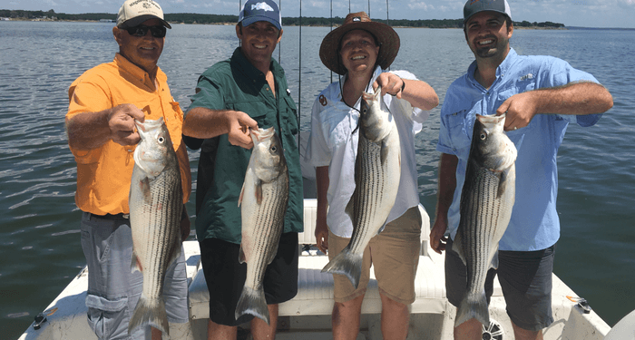 Lake Texoma fishing report :: When do you want to fish? - North